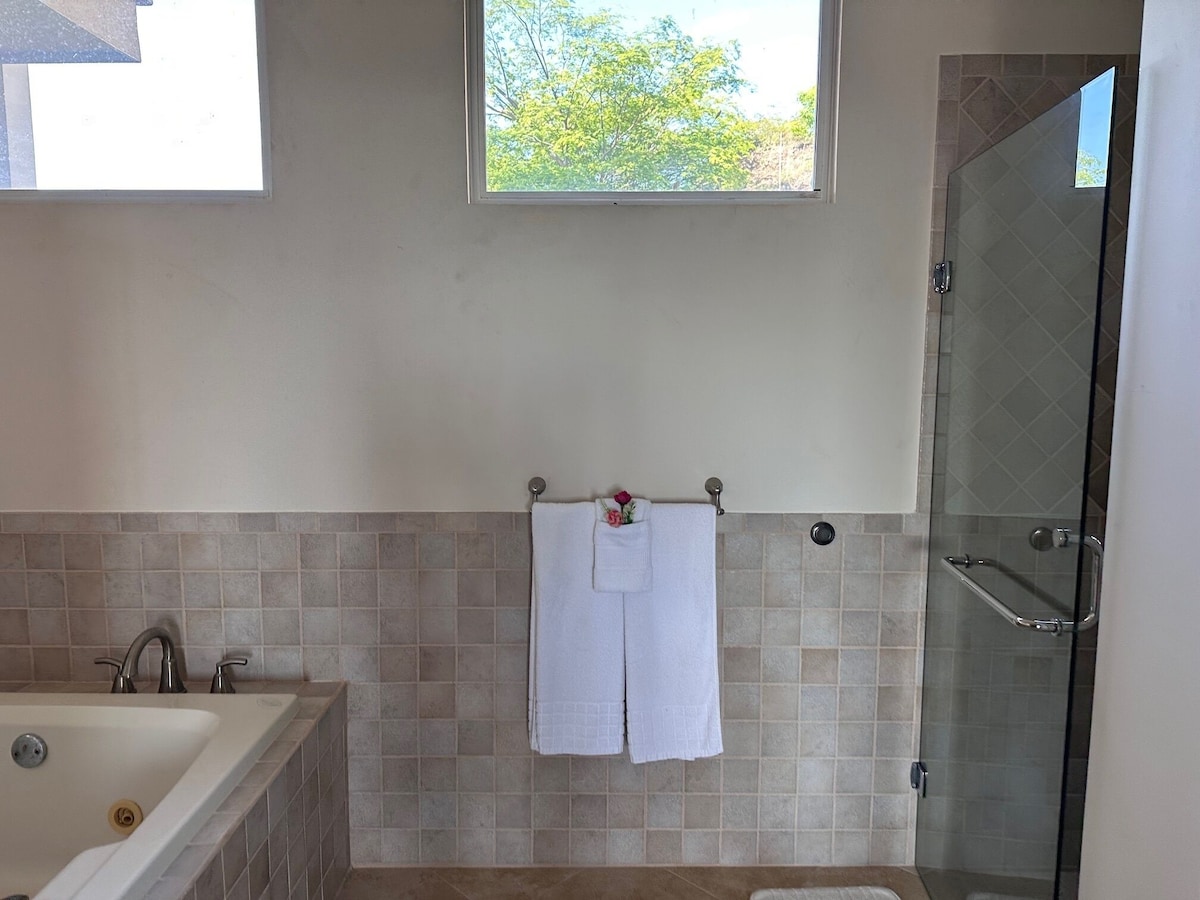 E201 bathroom with soaking tub